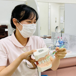 成人歯科写真