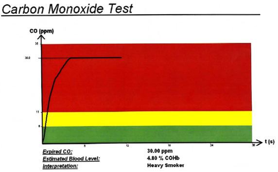 Carbon Monoxide Test