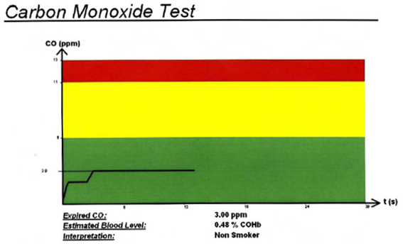 Carbon Monoxide Test