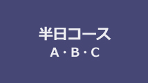半日コース